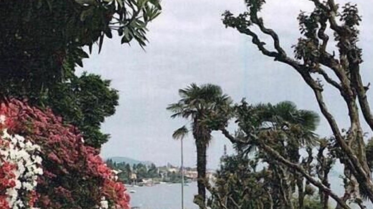Photo of Outdoor in Suna