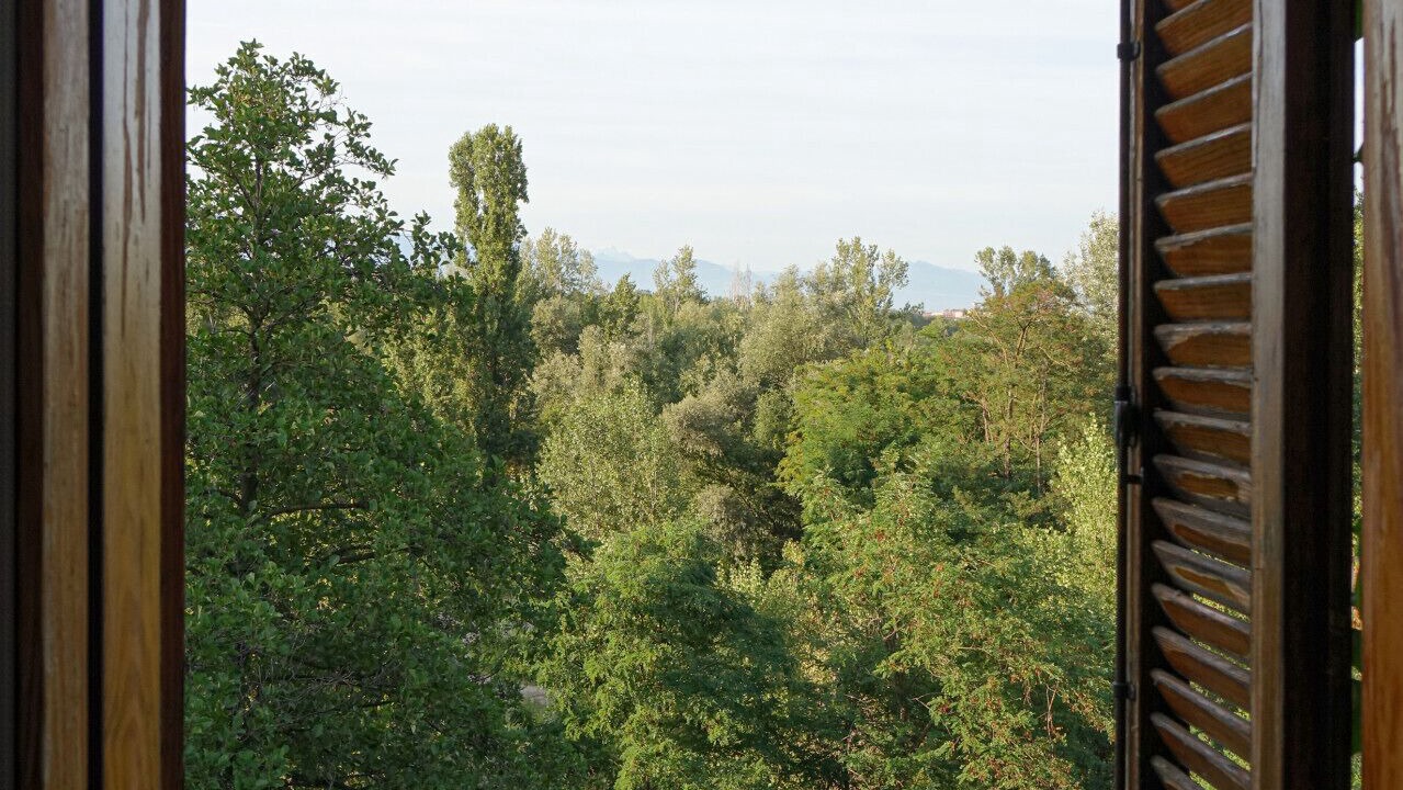 Photo of Others in Venaria Reale