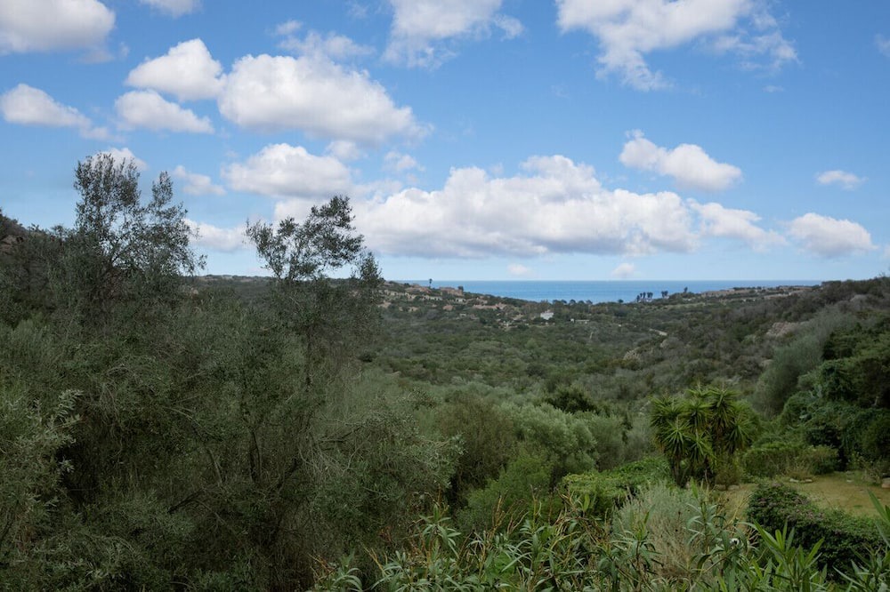 Photo of Others in Liscia di Vacca