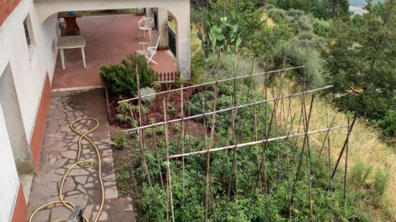 Photo of Outdoor in Follo
