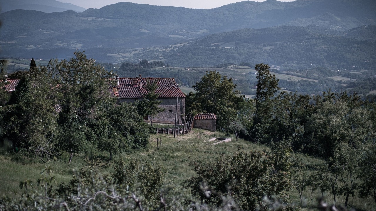 Photo of Others in Montebonello