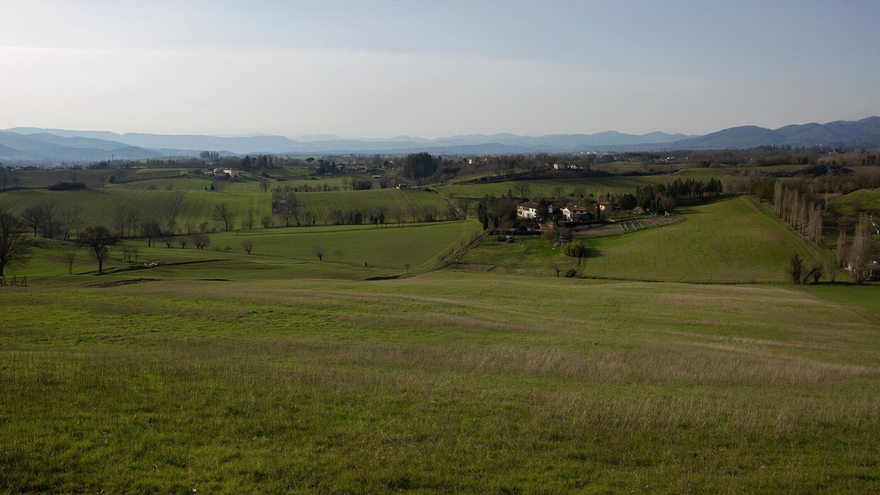 Photo of Others in Montebonello