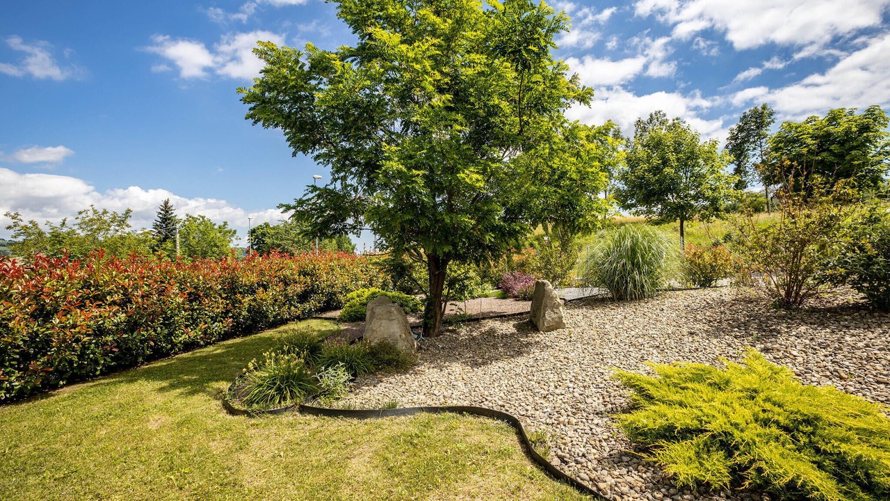 Photo of Outdoor in Roncoscaglia