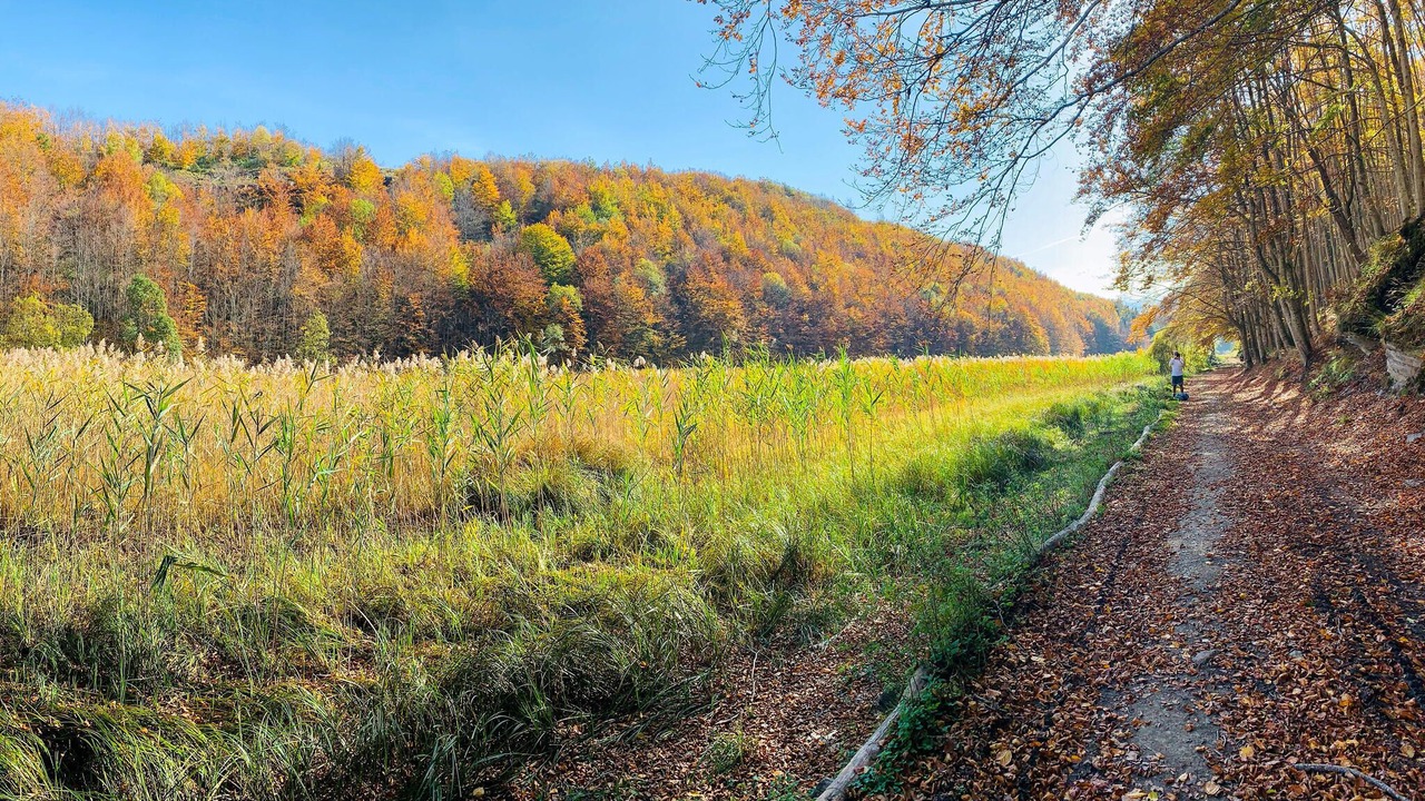 Photo of Outdoor in Roncoscaglia