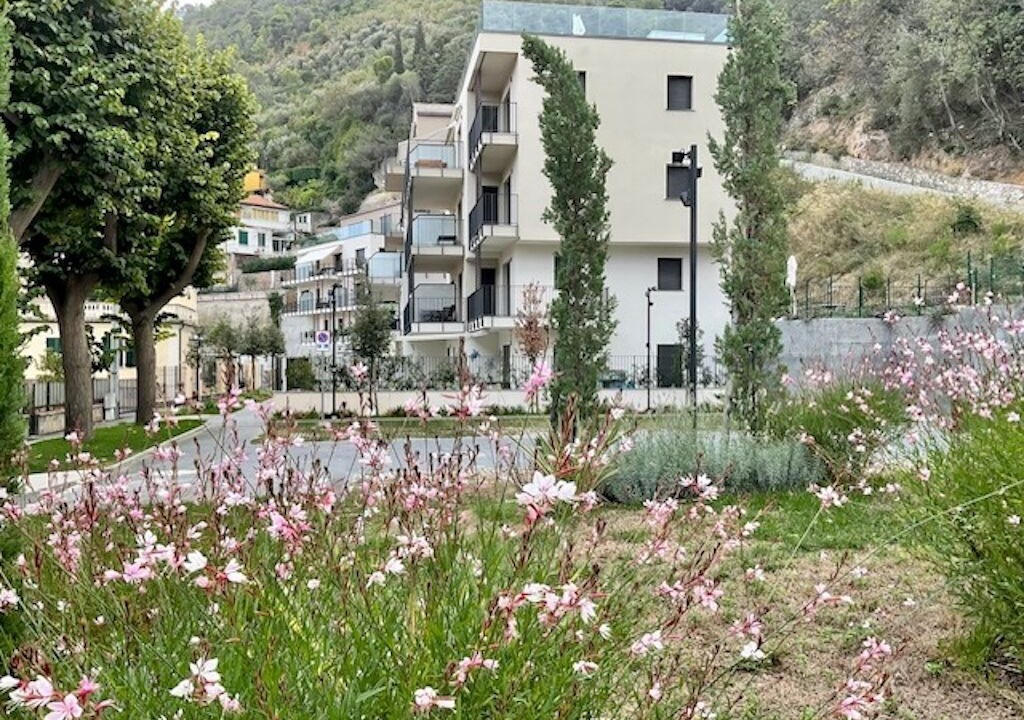 Photo of Outdoor in Noli