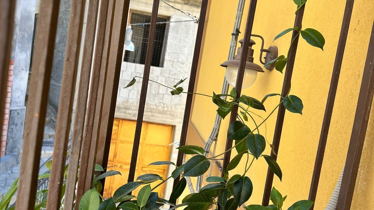 Photo of Outdoor in Motta Camastra