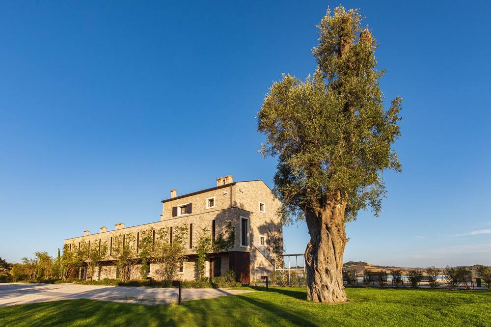 Photo of Outdoor in Castel San Pietro Terme