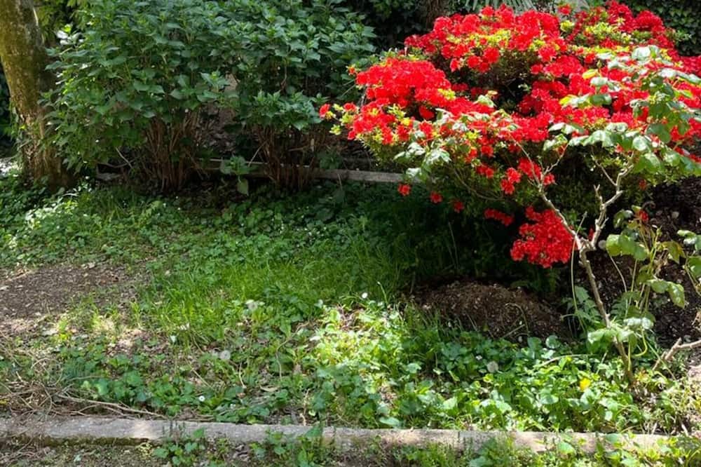 Photo of Outdoor in Invorio