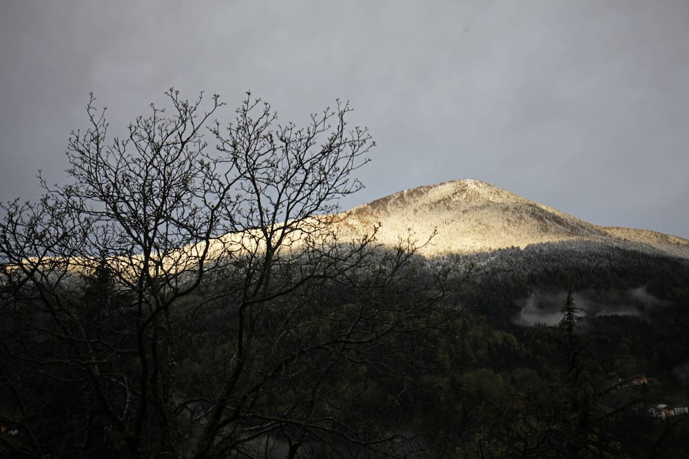 Photo of Others in Rigolato