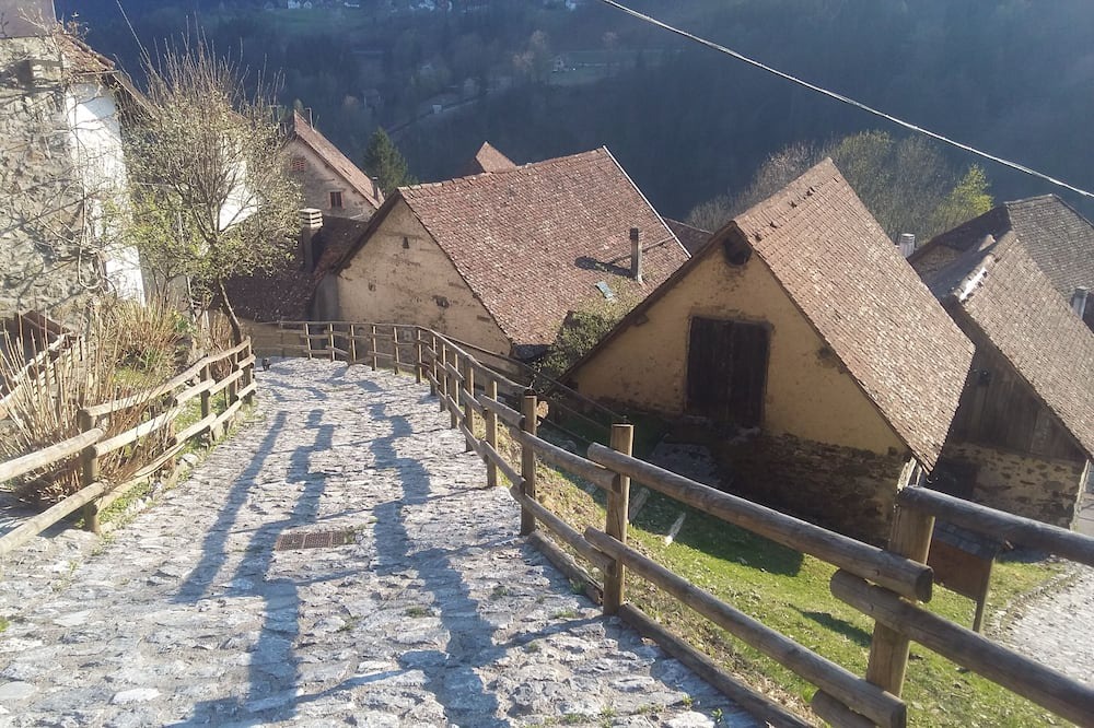 Photo of Outdoor in Rigolato