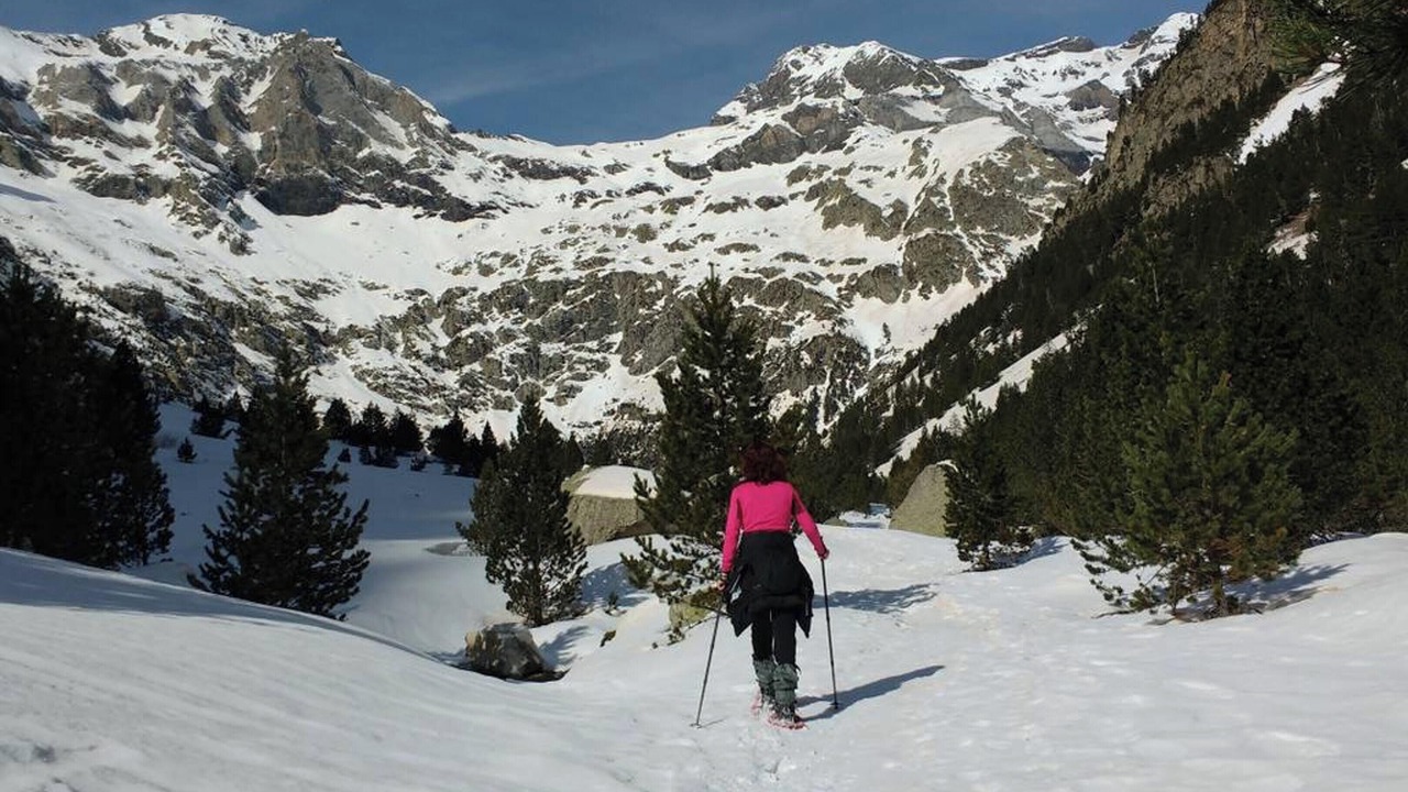 Photo of Others in Belsierre