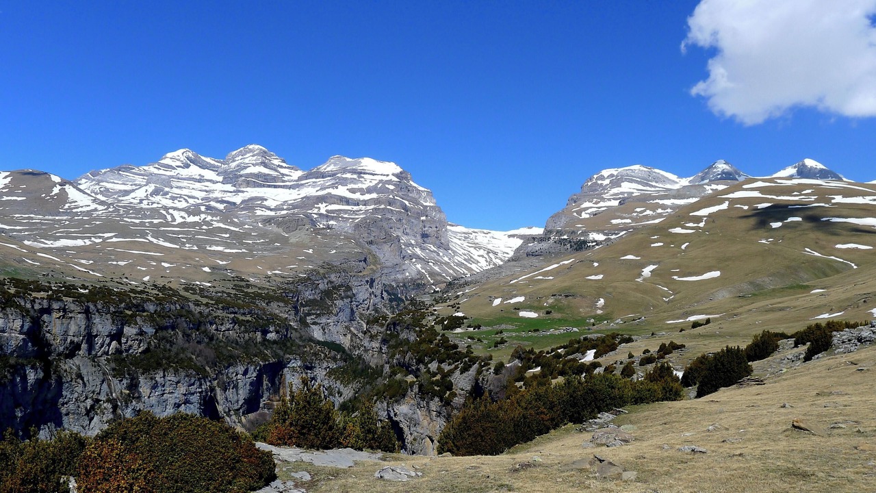 Photo of Others in Belsierre