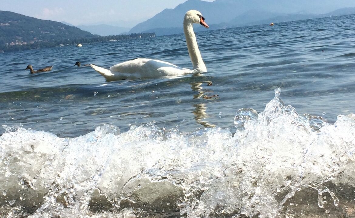 Photo of Outdoor in Arona