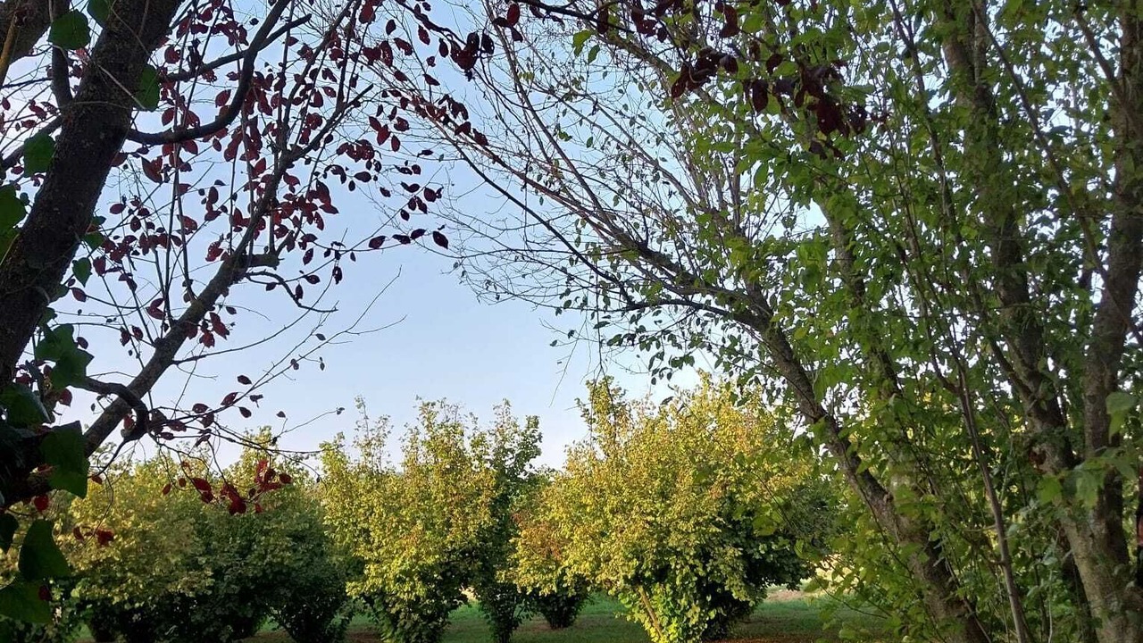 Photo of Outdoor in Castagnole delle Lanze