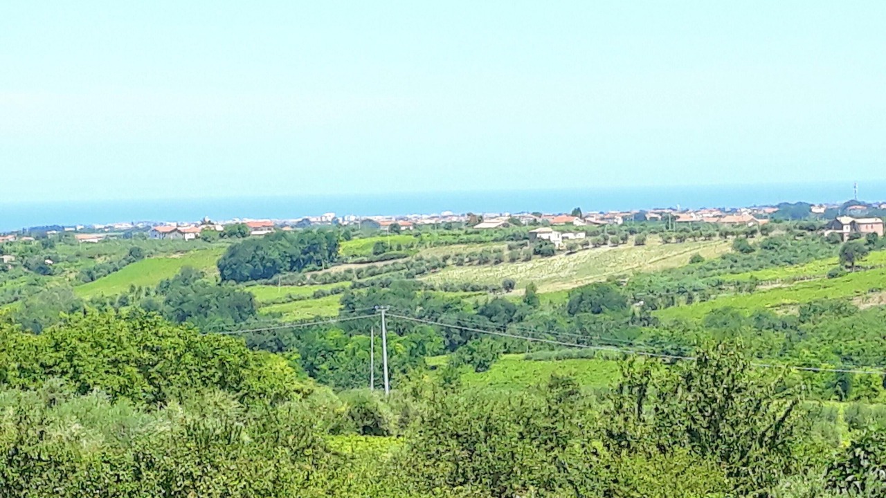 Photo of Others in Canosa Sannita