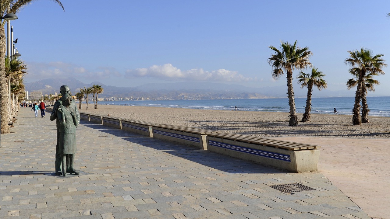 Photo of Others in Playa de San Juan