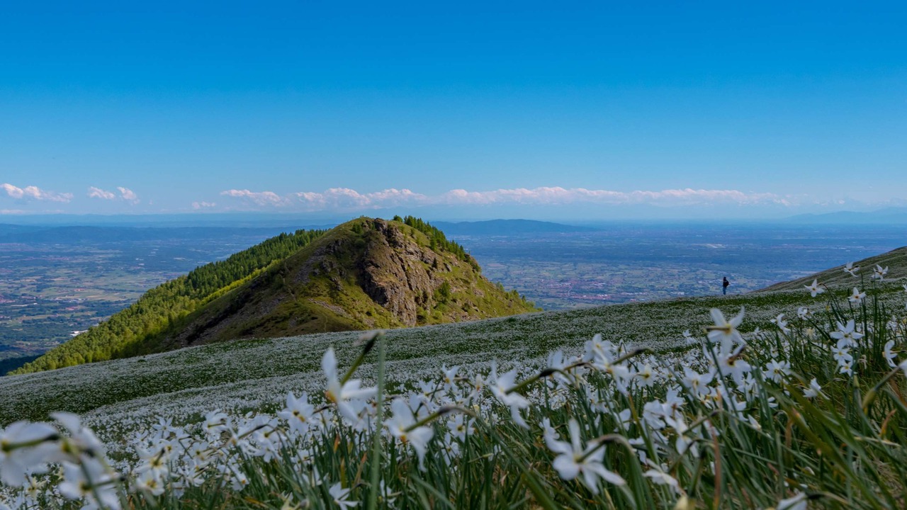 Photo of Outdoor in Ivrea