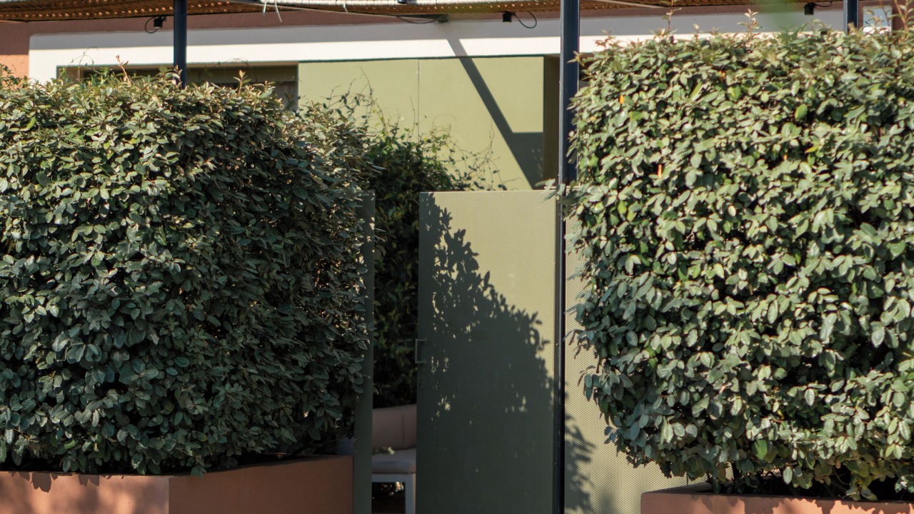 Photo of Patio Balcony in Perelada