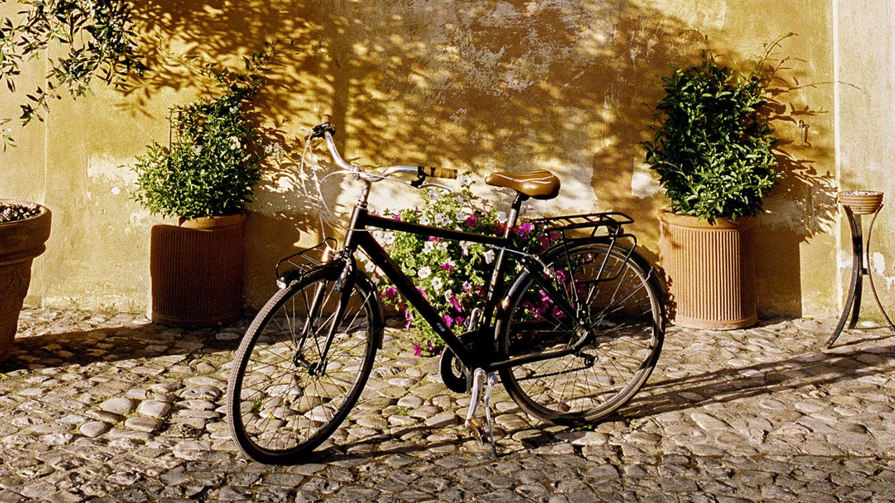 Photo of Outdoor in Palo Laziale