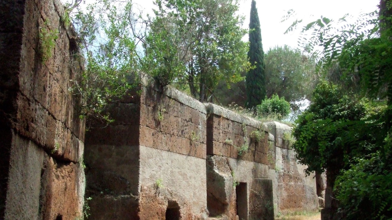 Photo of Others in Palo Laziale