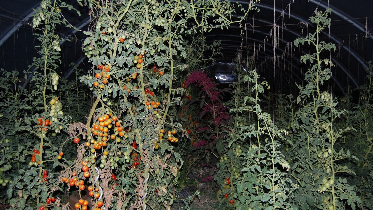Photo of Outdoor in Cesiomaggiore