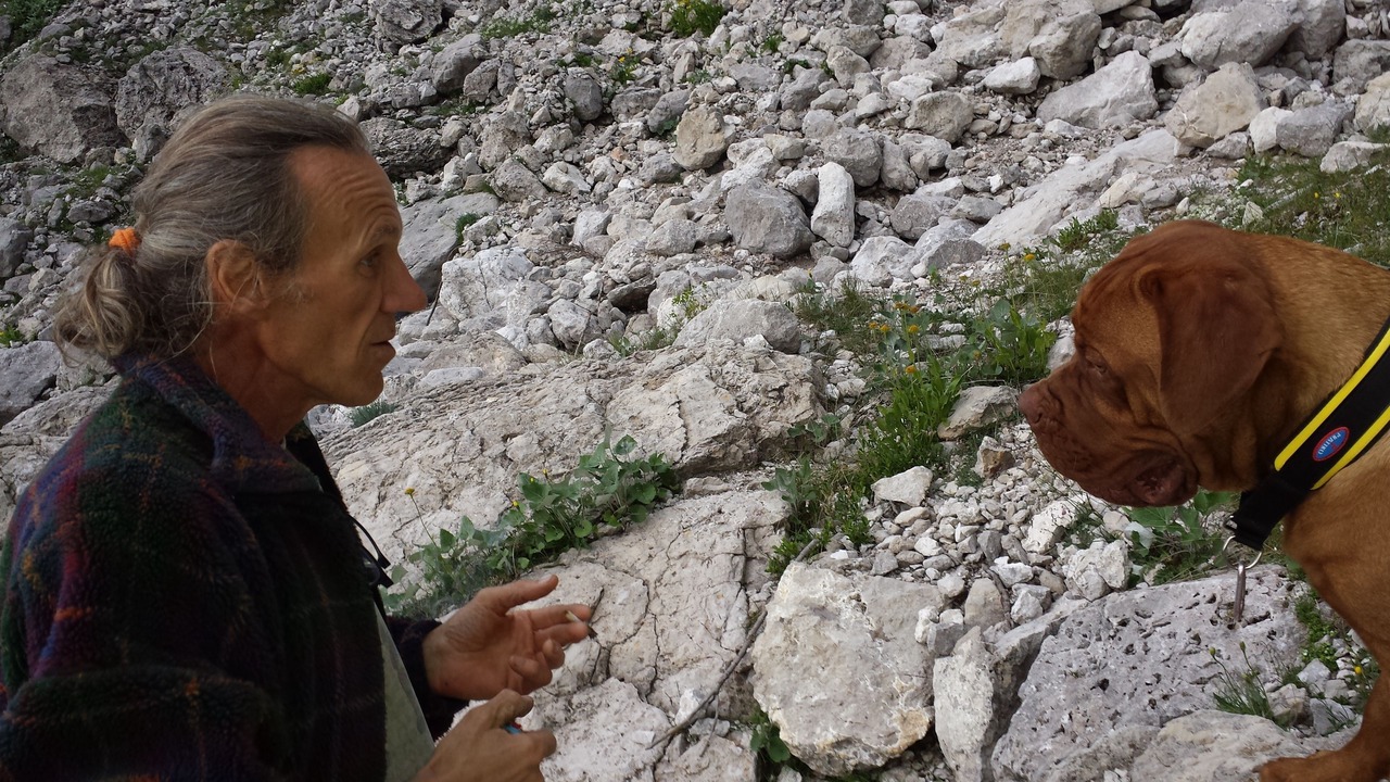 Photo of Outdoor in Cesiomaggiore