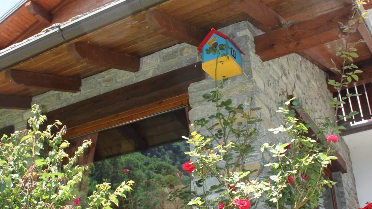 Photo of Outdoor in Antey-Saint-Andre