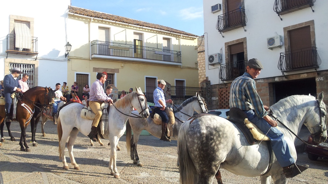Photo of Others in El Altico