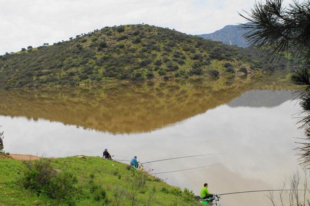 Photo of Others in El Altico