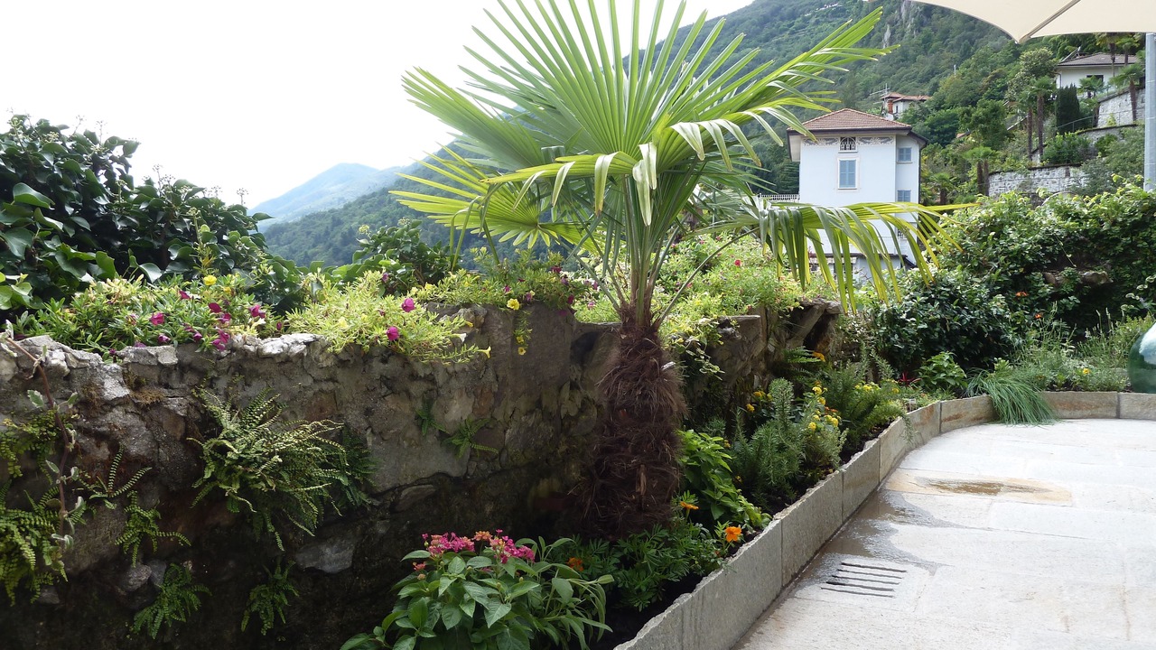 Photo of Outdoor in Cannero Riviera