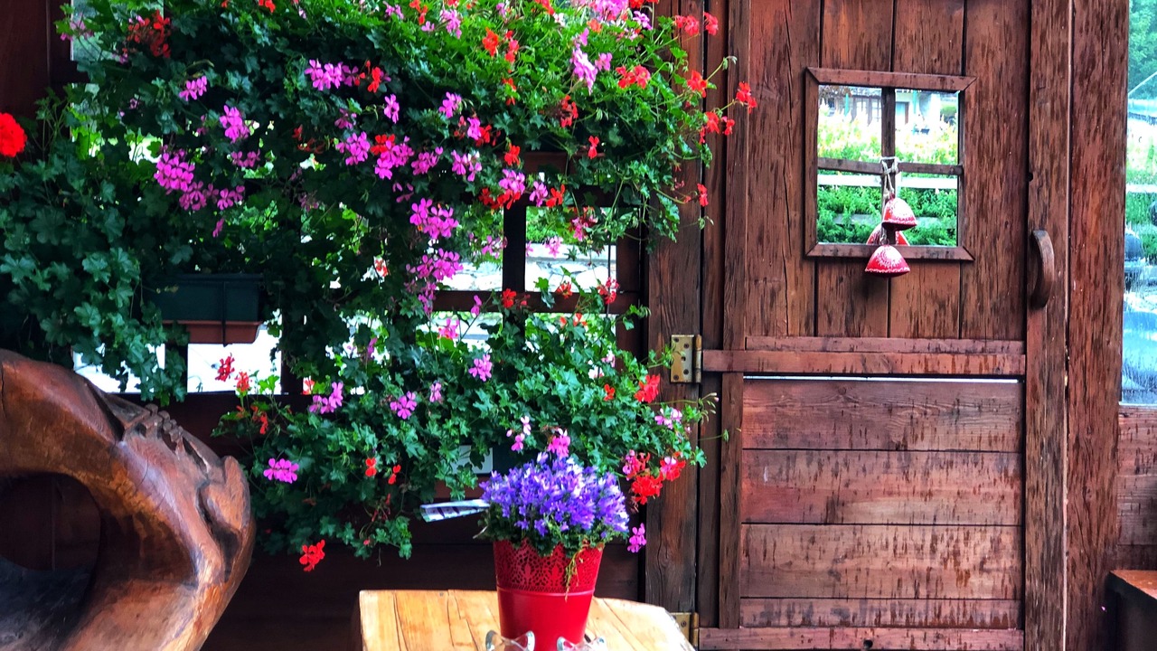Photo of Patio Balcony in Bieltschocke