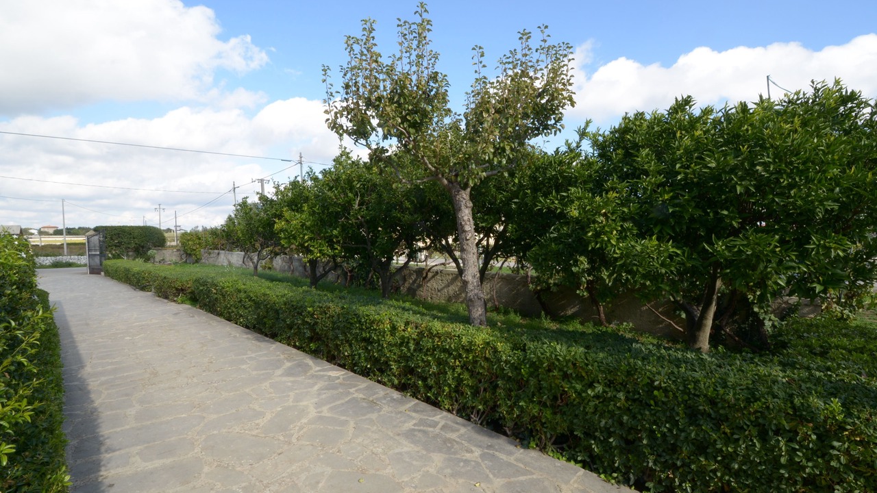 Photo of Outdoor in Modica