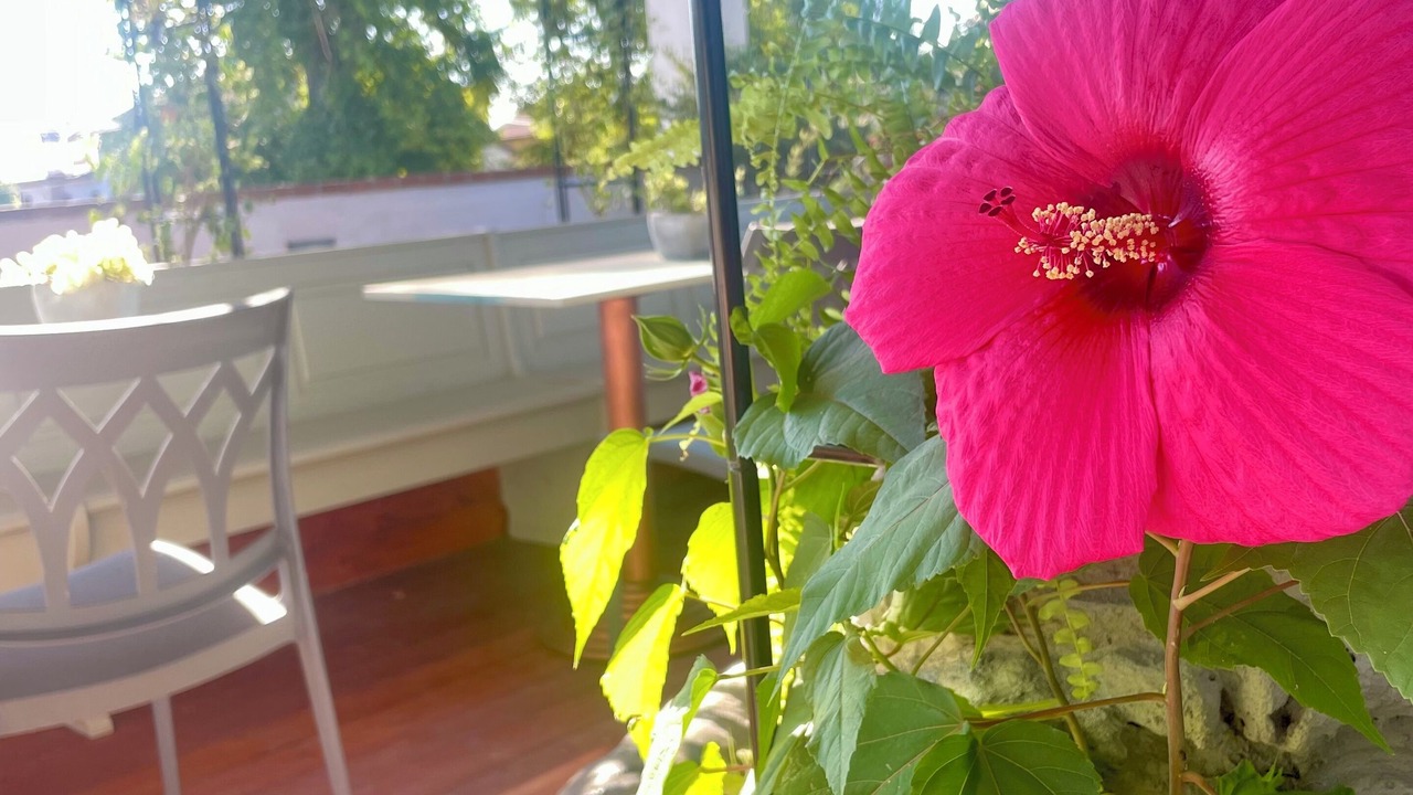 Photo of Outdoor in Villa Vicentina