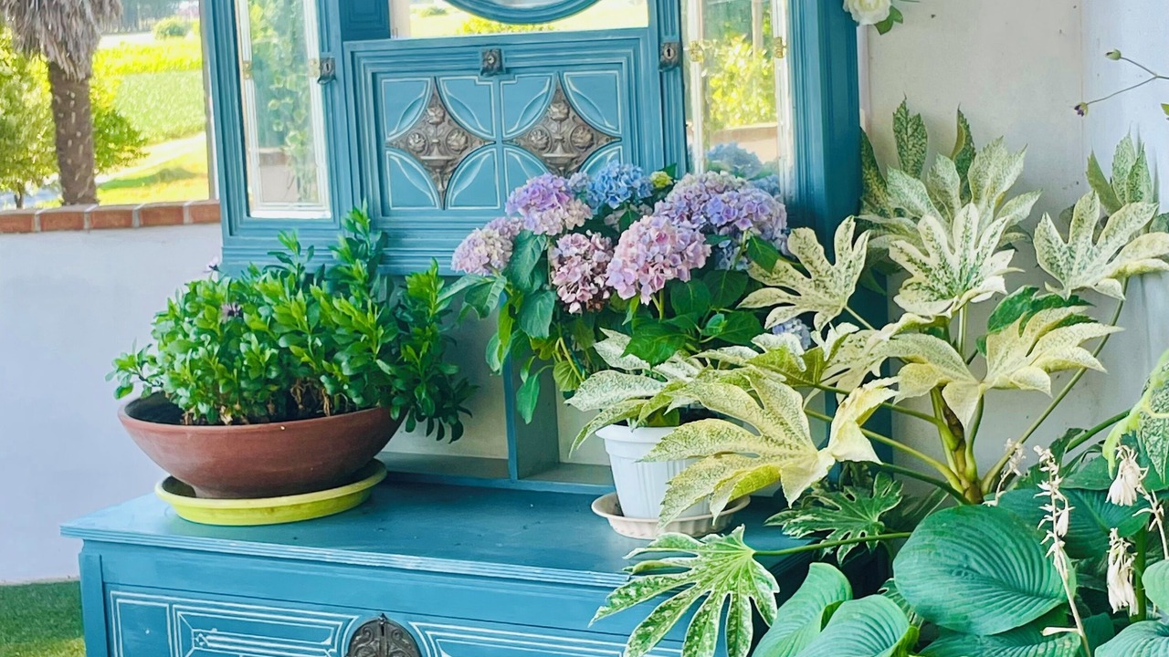 Photo of Patio Balcony in Villa Vicentina