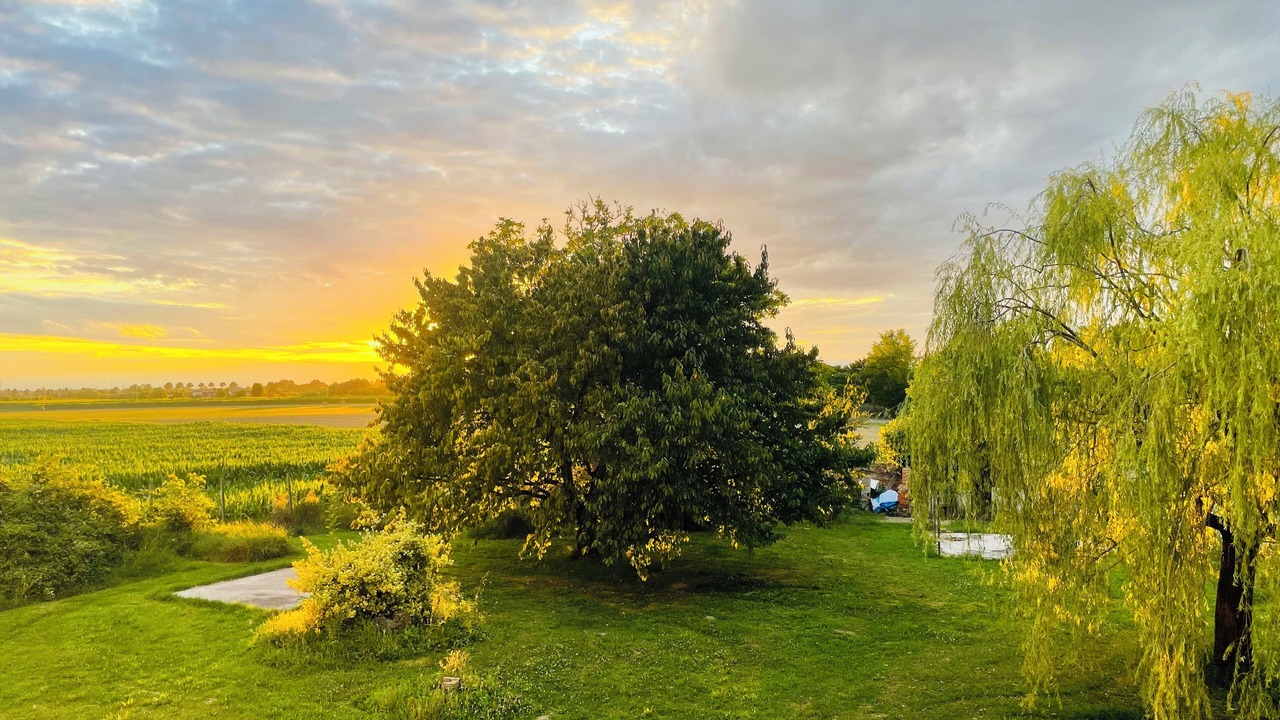 Photo of Outdoor in Villa Vicentina