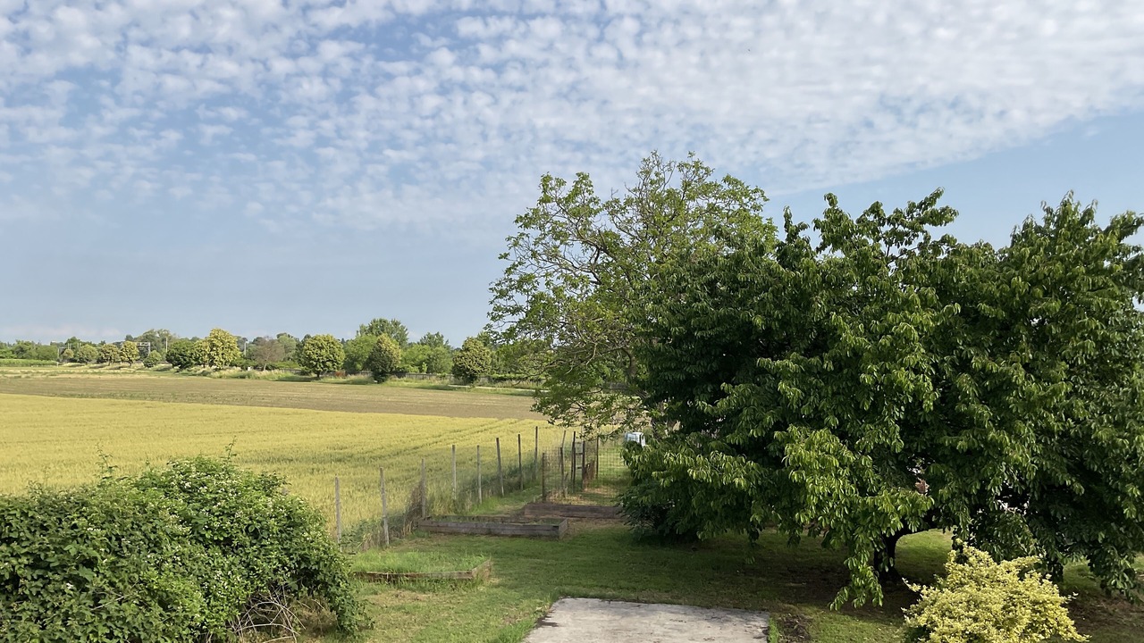 Photo of Outdoor in Villa Vicentina