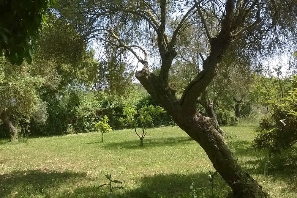 Photo of Outdoor in Priverno
