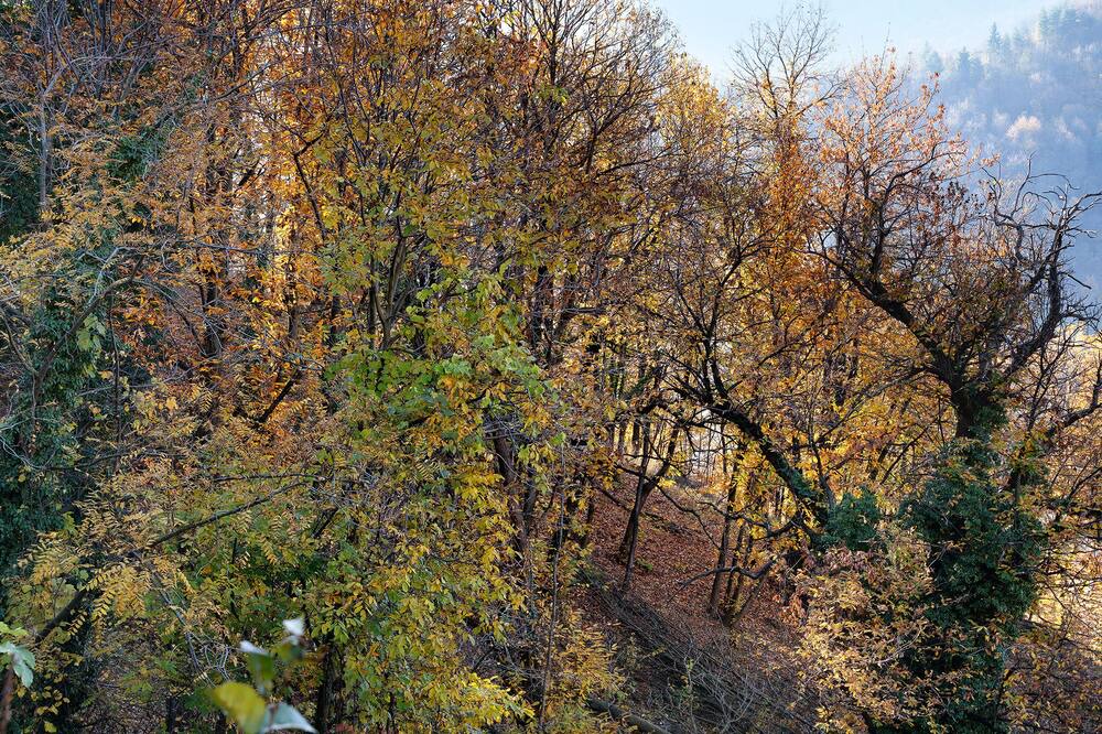 Photo of Outdoor in Venasca