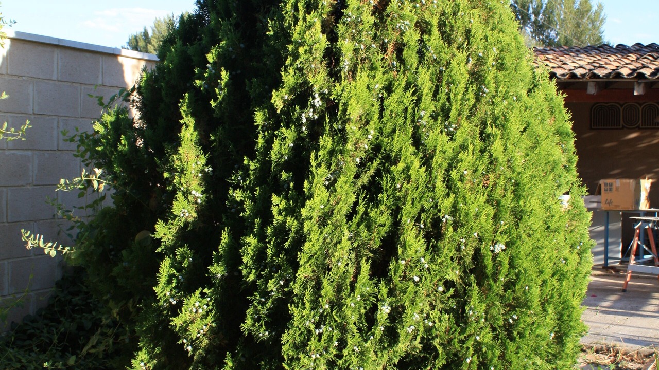 Photo of Outdoor in Penaranda de Duero