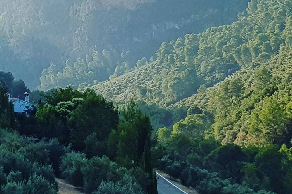 Photo of Others in Sorihuela del Guadalimar