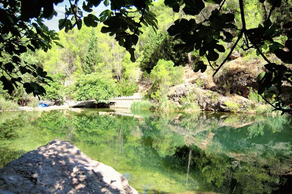 Photo of Others in Hornos
