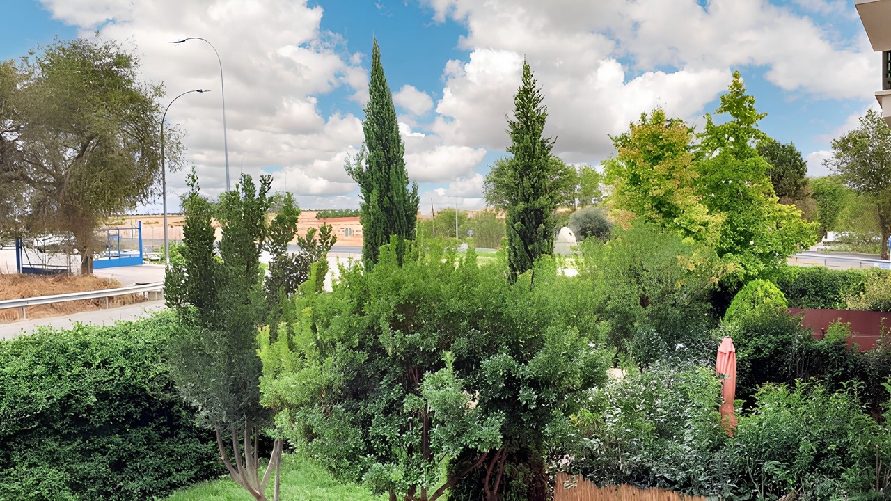 Photo of Outdoor in Yepes