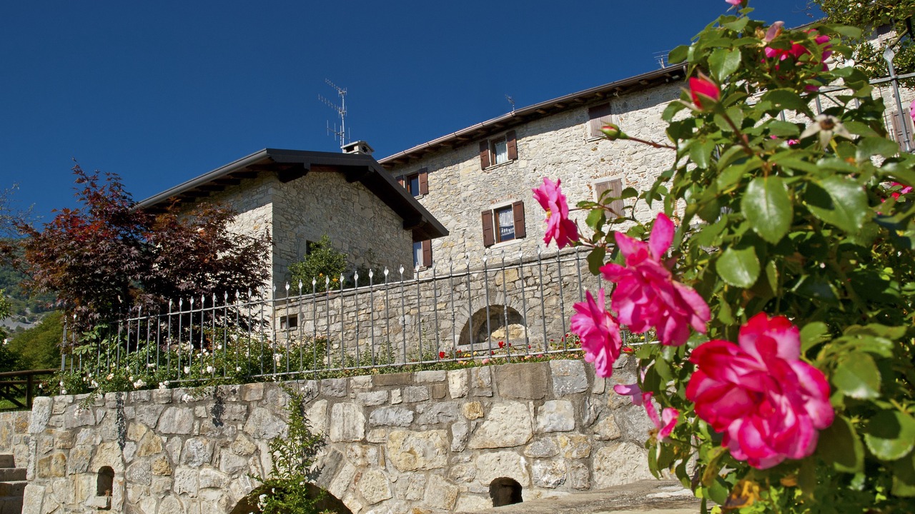Photo of Outdoor in Roncola