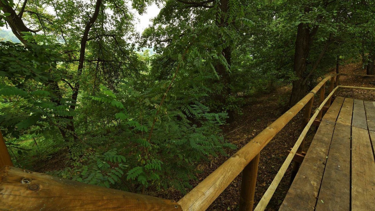 Photo of Outdoor in Mondovi