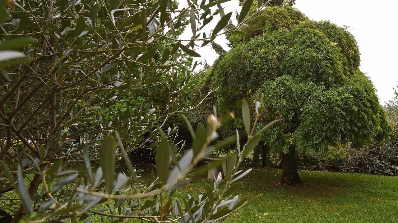 Photo of Outdoor in Mondovi