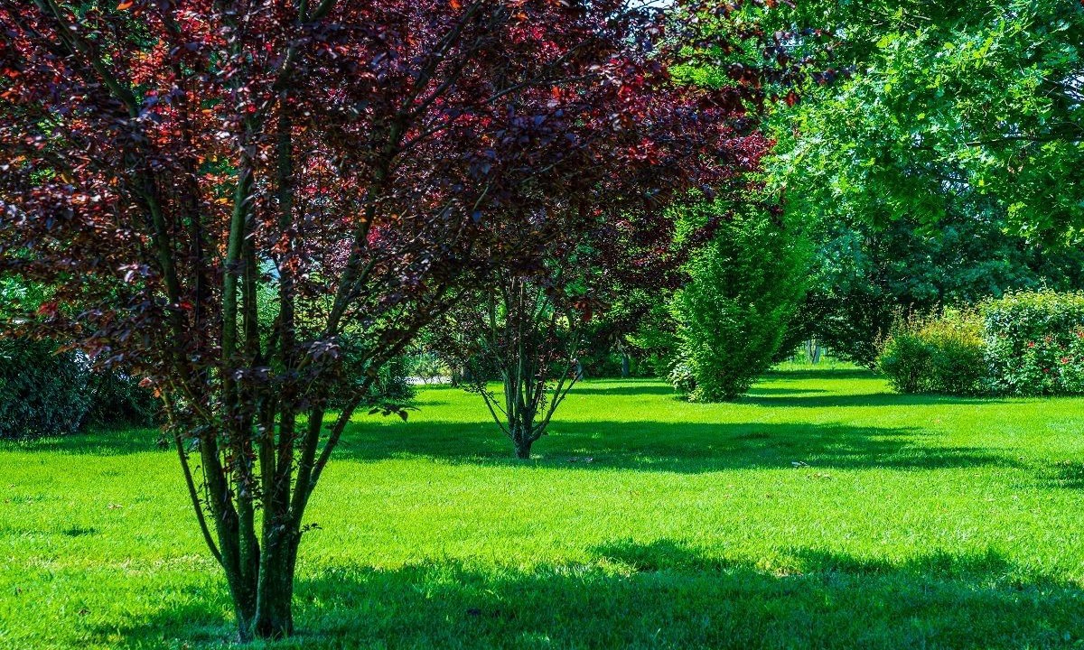 Photo of Outdoor in Scandiano