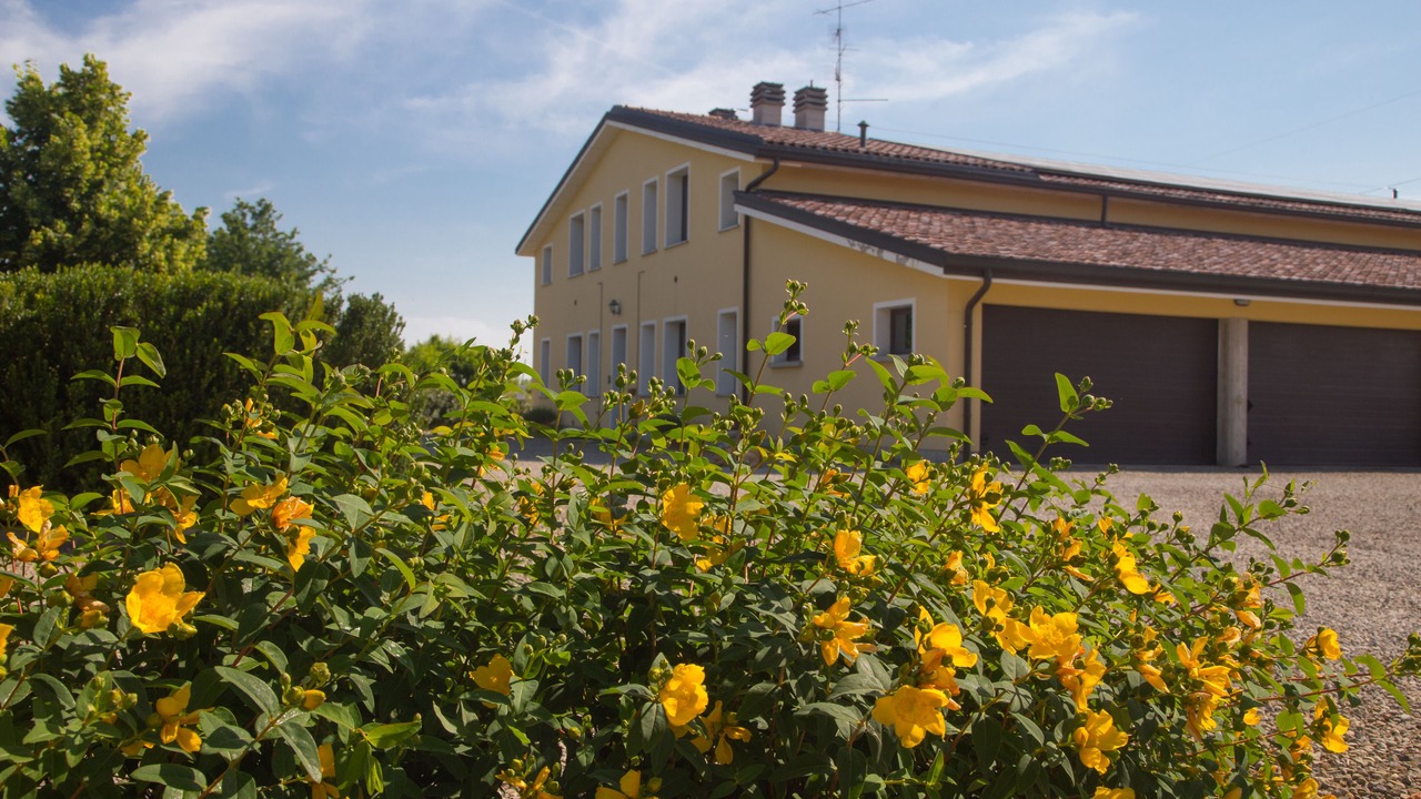 Photo of Outdoor in Scandiano