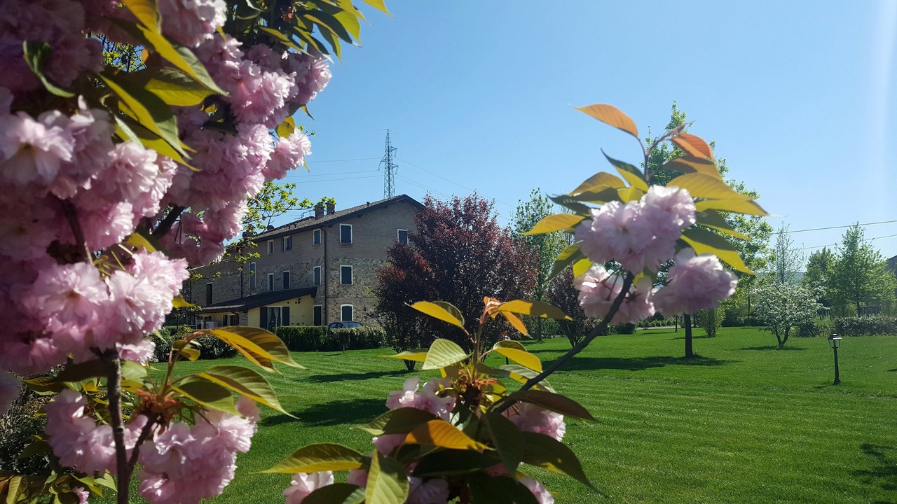 Photo of Outdoor in Scandiano