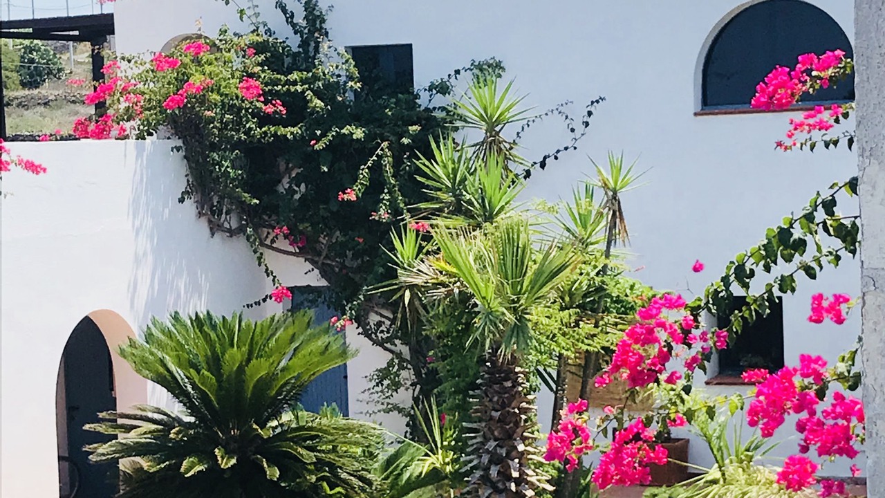Photo of Outdoor in Pantelleria