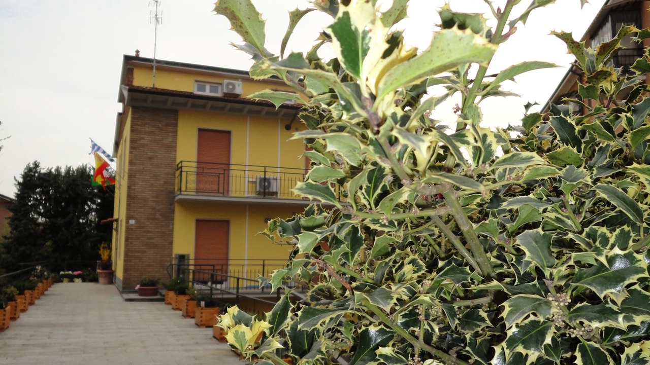 Photo of Outdoor in Pavia